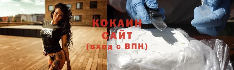 где можно купить наркотик  Ефремов  нарко площадка наркотические препараты  Cocaine Колумбийский  OMG зеркало 