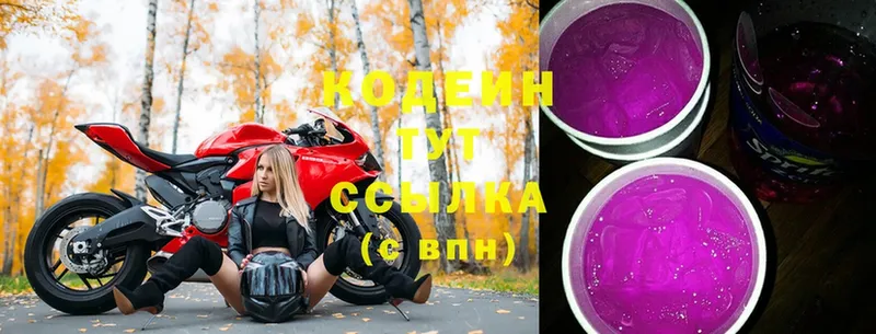 наркотики  KRAKEN ONION  Кодеиновый сироп Lean Purple Drank  Ефремов 